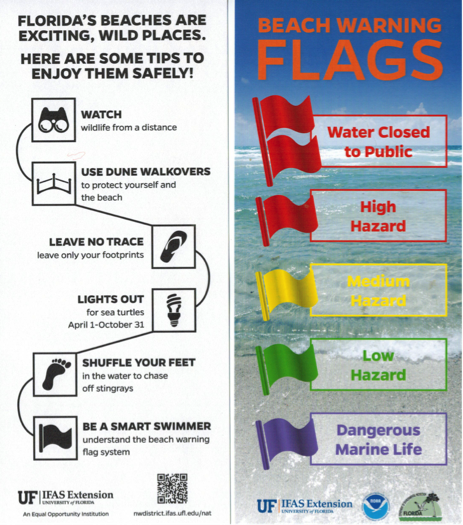 Beach Safety Information