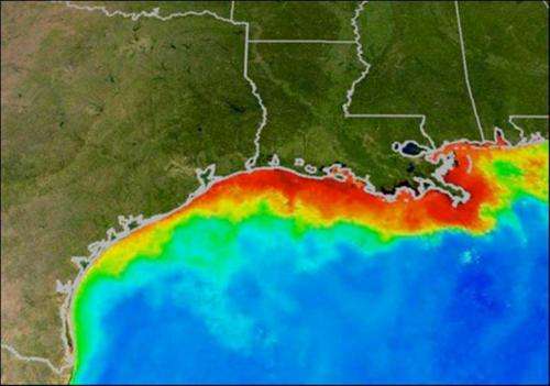 Looks like a Typical Year for the Gulf of Mexico Dead Zone