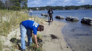 FDEP planting a living shoreline on Bayou Texar in Pensacola. Photo: FDEP 