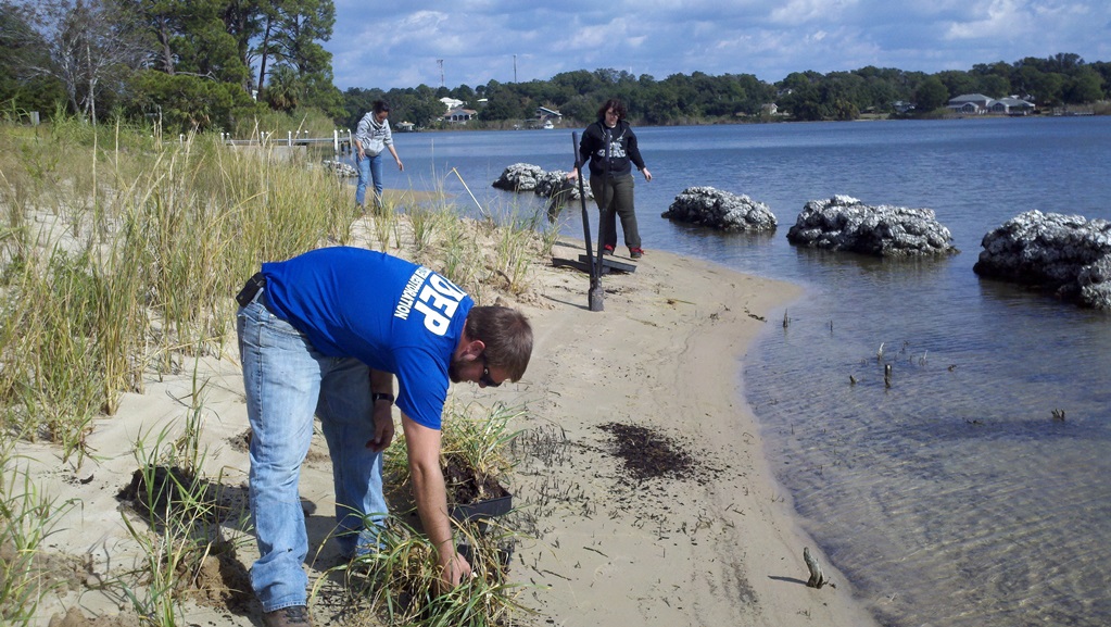 National Estuaries Week! – What We Can Do