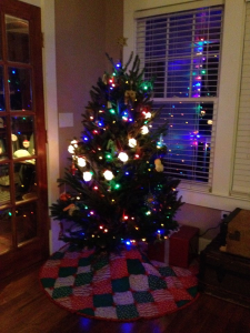 There is nothing like Christmas lights on a tree.   Photo: Molly O'Connor