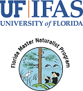 Panhandle Florida Master Naturalist graduates opt to use living shorelines to enhance habitat and protect their coastal properties.