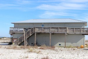 The Navarre Beach Marine Science Station provides education for young and old. 