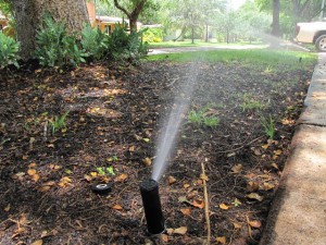 An efficient irrigation system should direct water to root system of a landscape and reduce overspray onto homes and sidewalks. Photo credit: UF IFAS 
