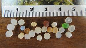 Microplastics Awareness Month