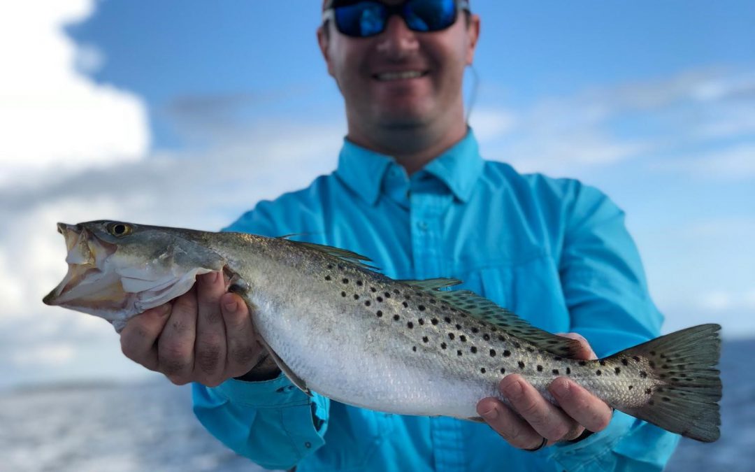 Spotted Seatrout Harvest Closed February
