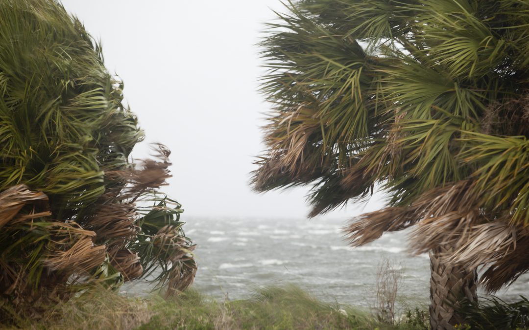 Preparing an Emergency Safe Drinking Water Supply Before a Storm