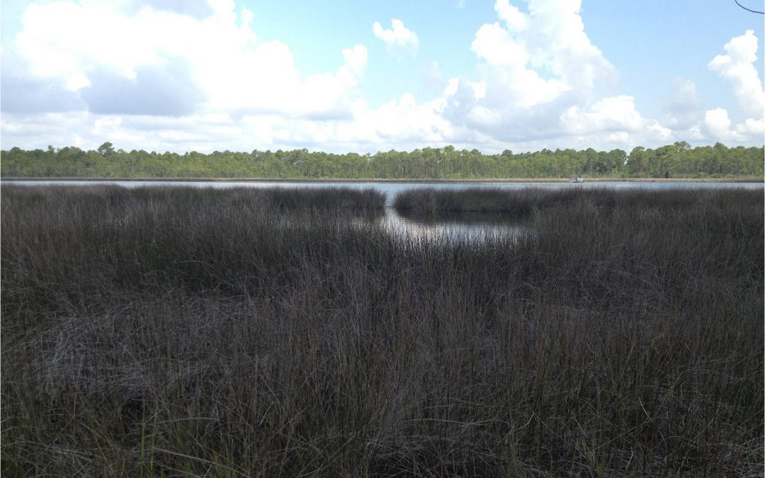 Exploring Your Watershed