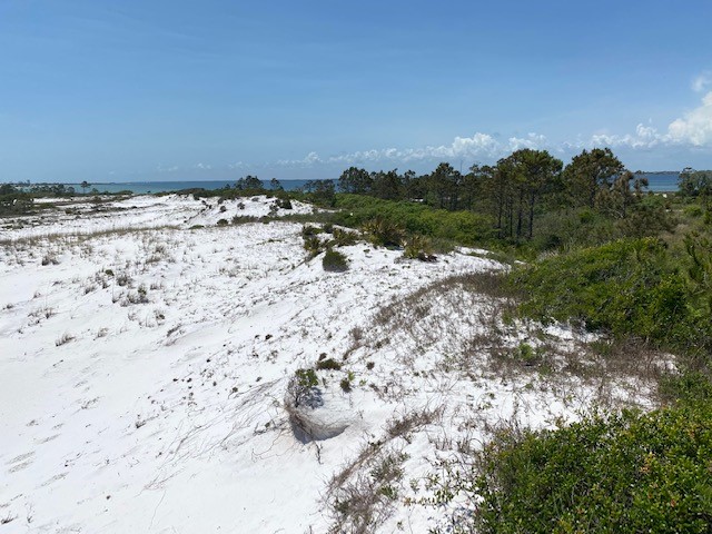 Barrier Island Wildlife in the Florida Panhandle; Part 2 The Habitats