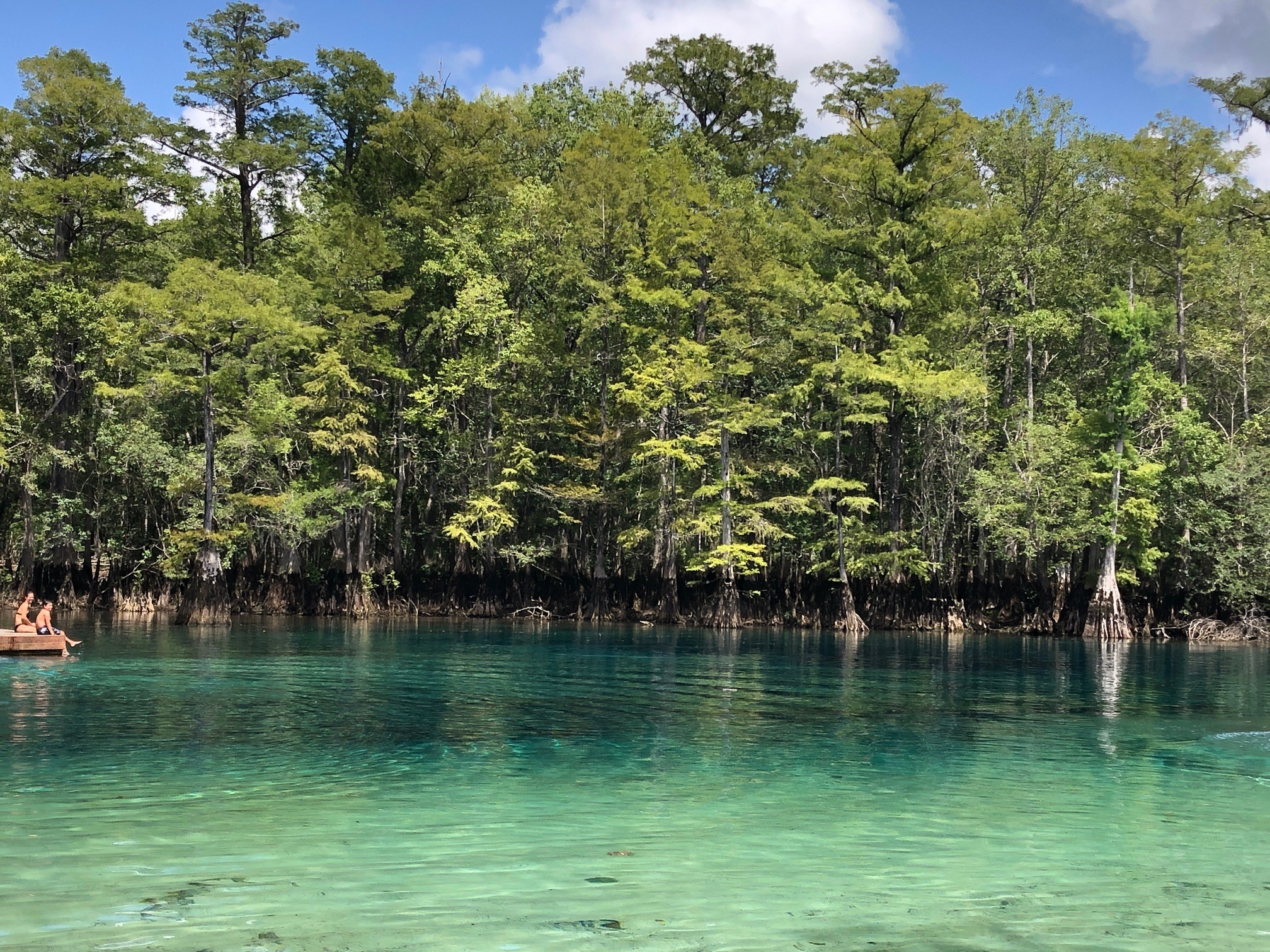 Natural Springs  Explore Northwest Florida
