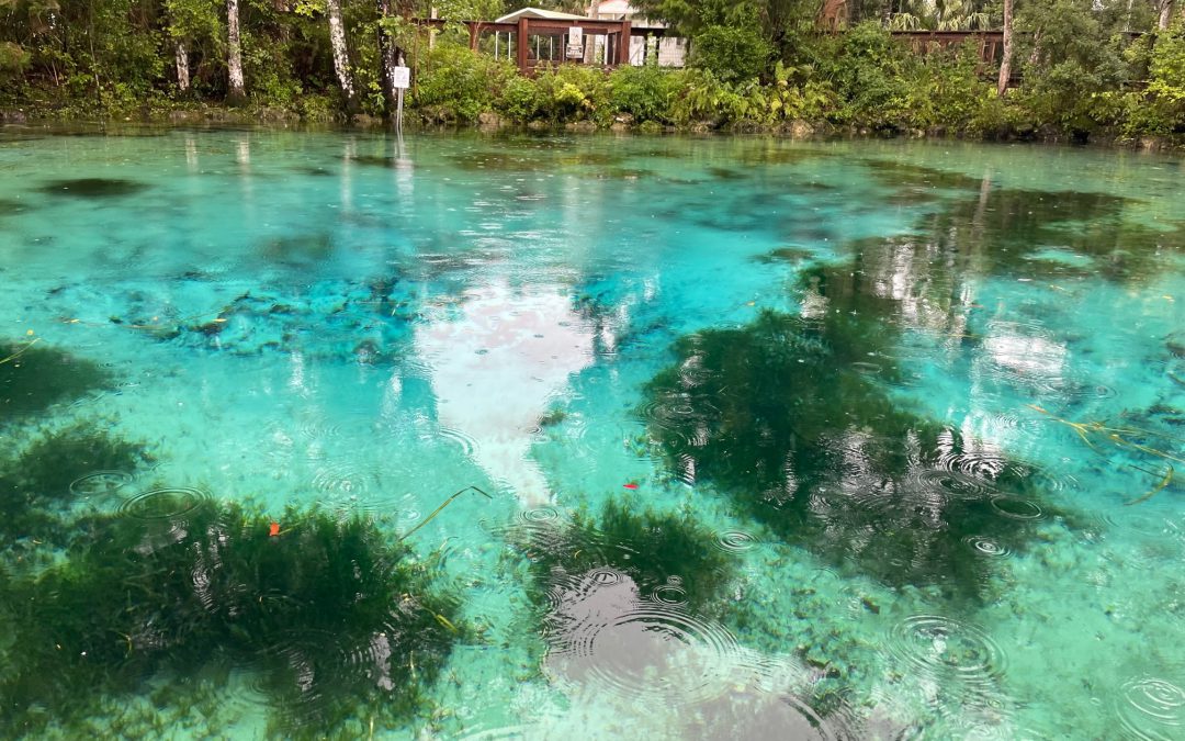 North Florida’s Springs