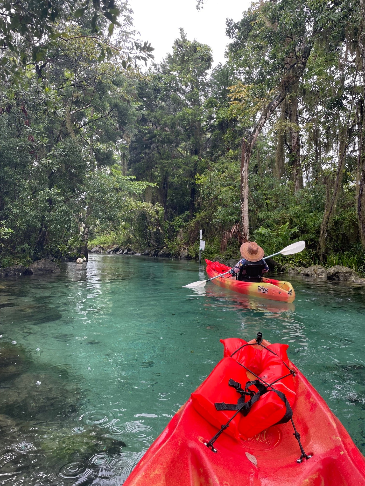 Family Friendly Florida Springs Kayak Tour - WildVoice