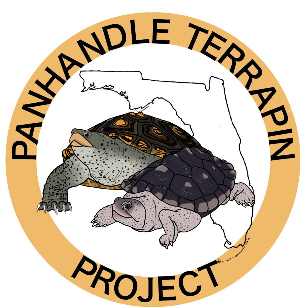 Turtles  Panhandle Outdoors