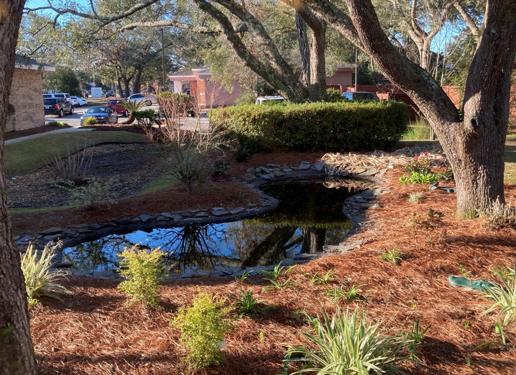 Rain garden in Pensacola, FL