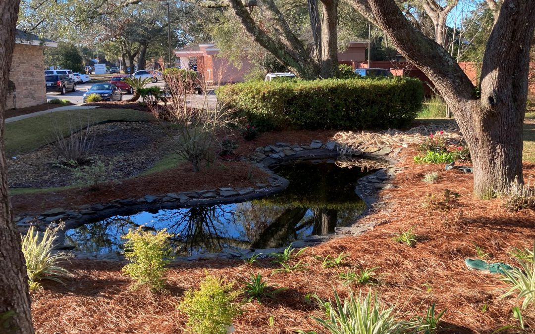Nature-Based Stormwater Solutions in the Florida Panhandle