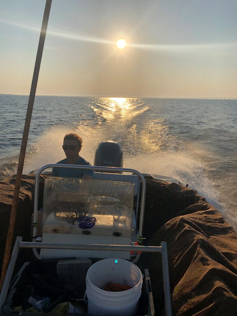 Boat Full of Harvest Oysters