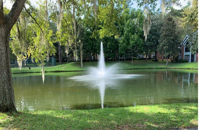 "A stormwater pond in a residential neighborhood in Gainesville, FL." UF/IFAS Photo by Samantha Howley