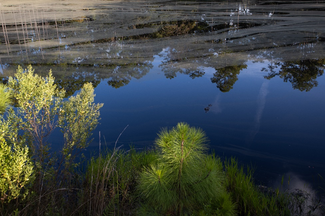 Simple Steps to Improve Local Water Quality | Panhandle Outdoors