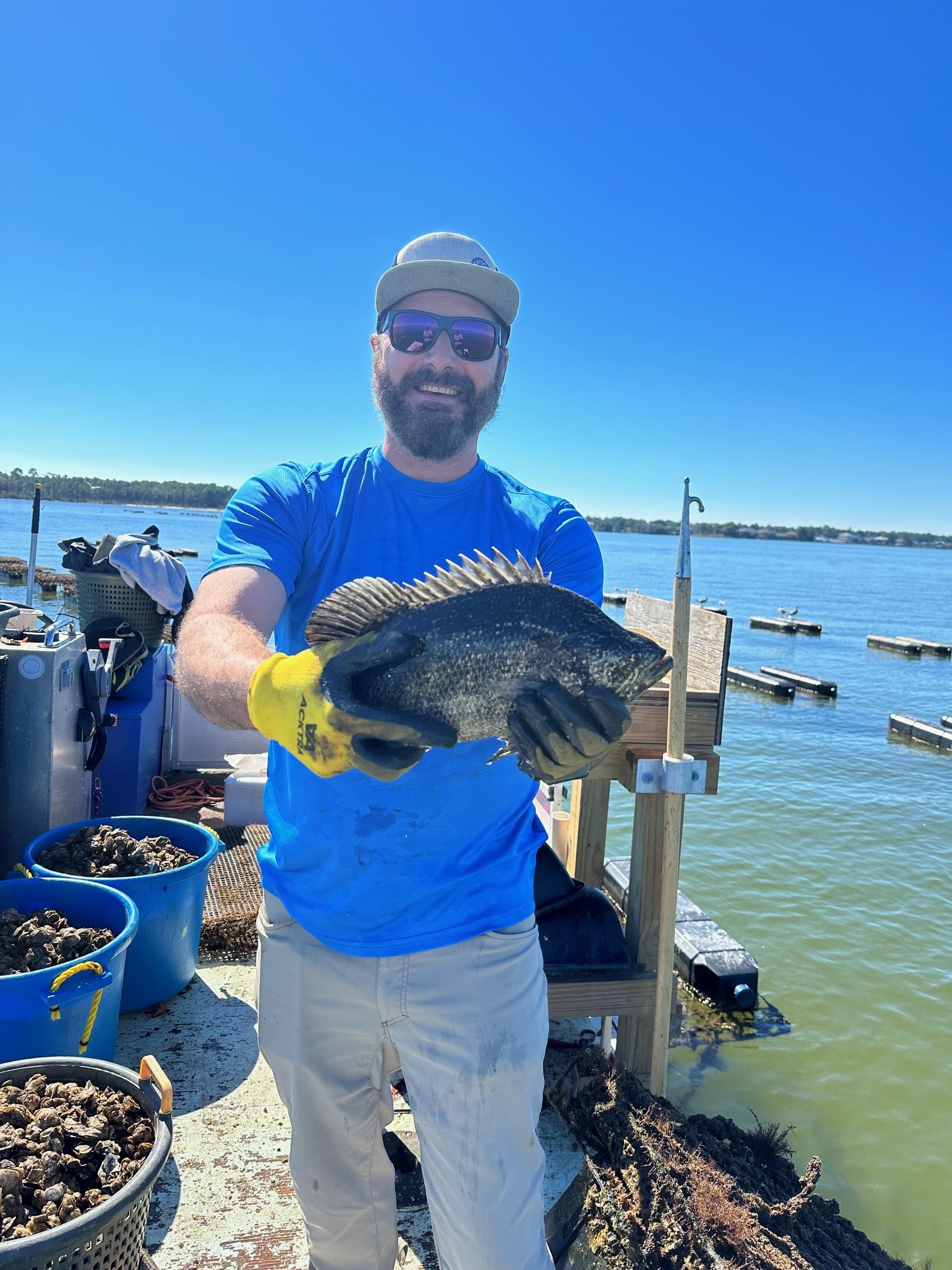 Oyster Farmer holding a Tripletail fish