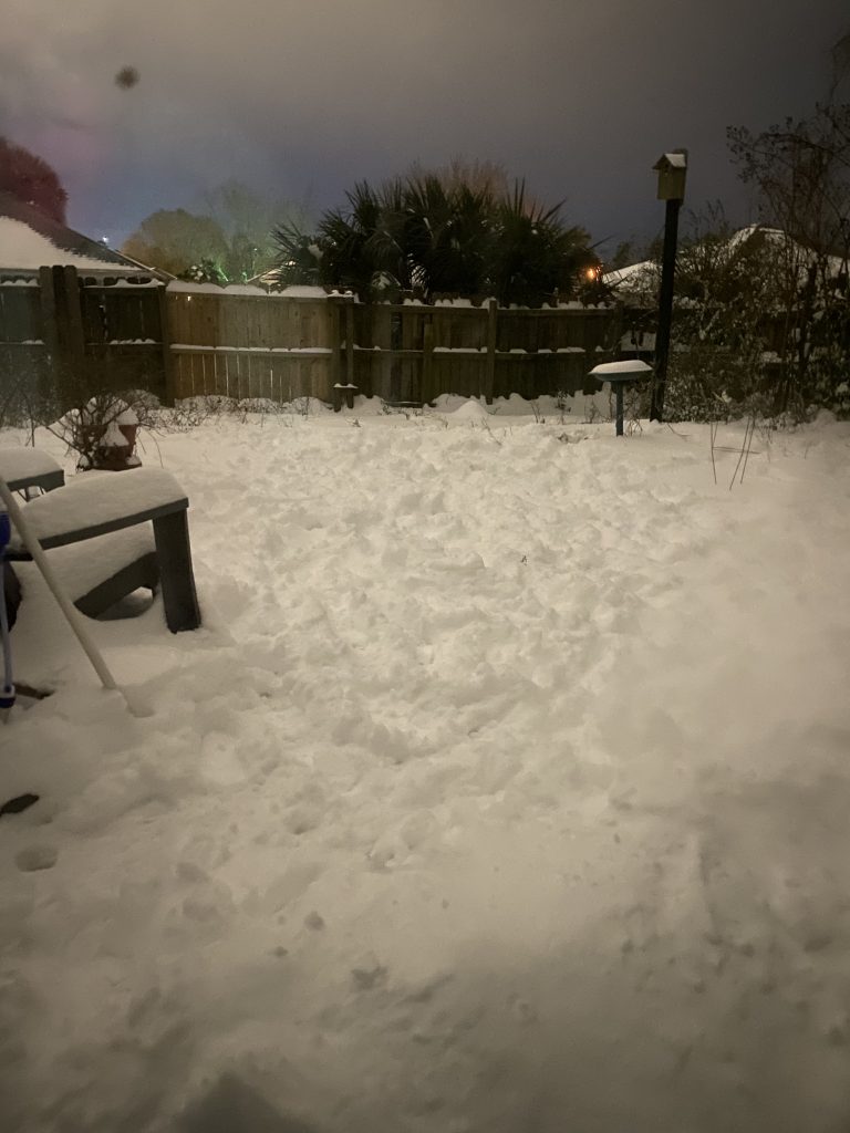 Backyard of Snow