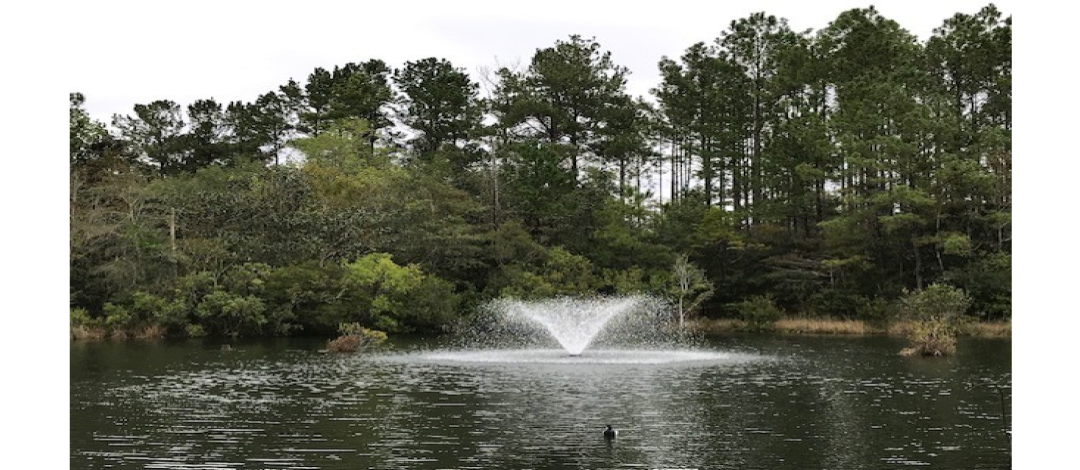 Getting Your Farm Pond Ready for Spring