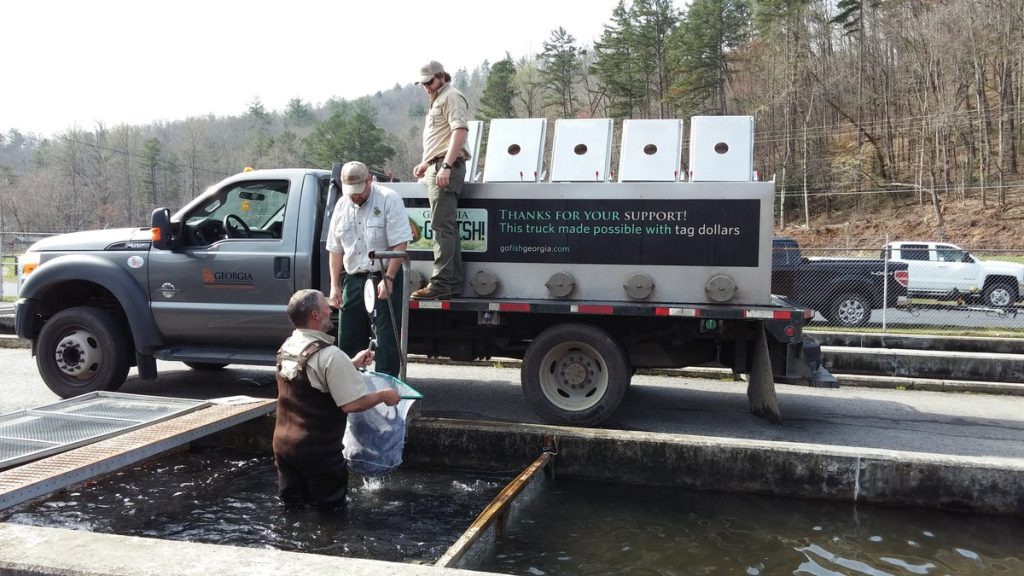 Trout Being Loaded For Stocking Georgia Rivers - Georgia DNR