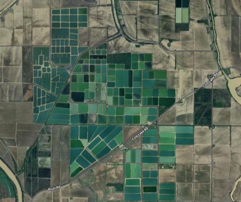 Aquaculture in the Southern United States: Part 4-Louisiana & Mississippi