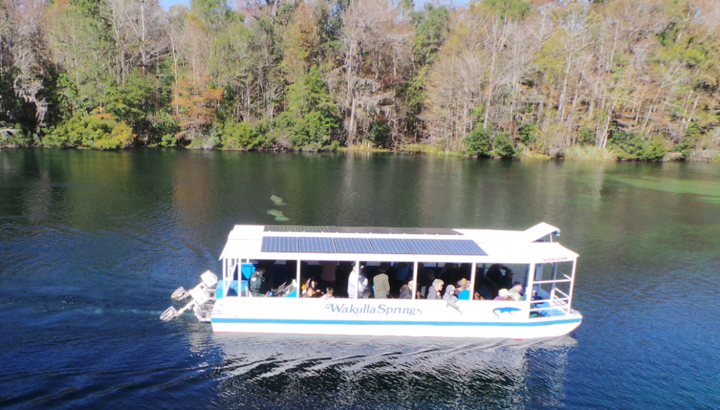 Daily river cruises on the Wakulla River are a great way to see Manatees and other unique wildlife.