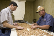 When It’s All Said and Done – Lessons Learned from the 2016 Peanut Season