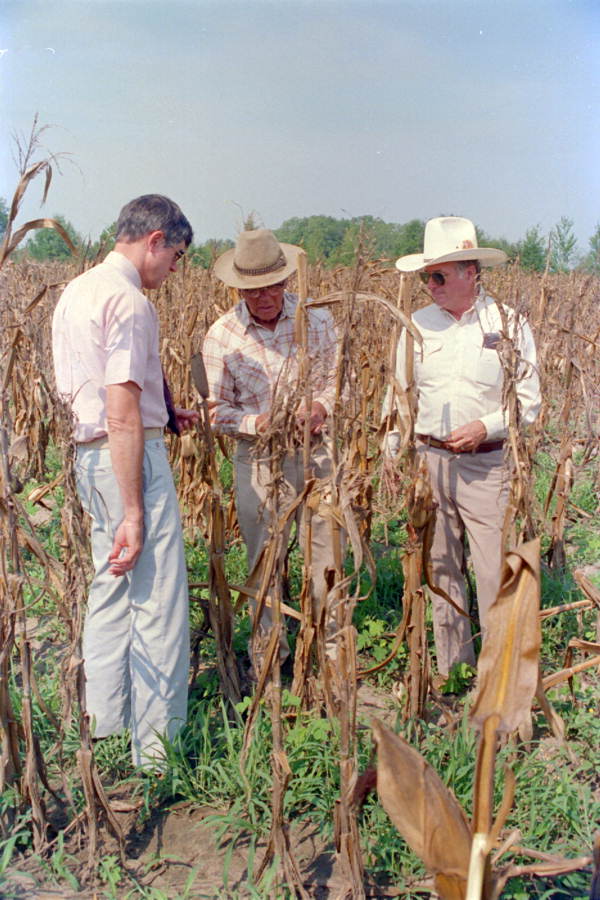 Agriculture Commissioner Doyle Conner and Peter Myers looks at drought damage of corn - Grand Ridge, Florida