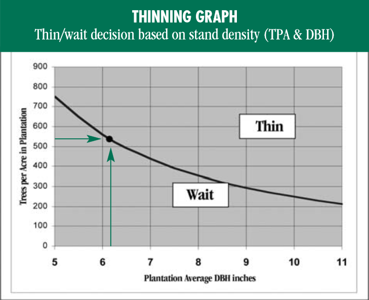 Thin or wait based on stand density.