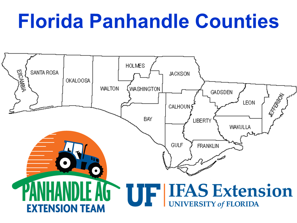 Florida Panhandle Counties Map