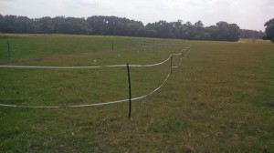 pasture fertilization pastures fertilizer demonstration