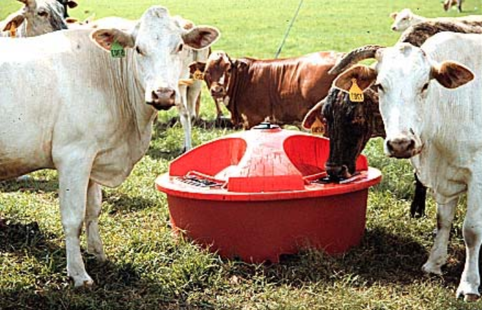 Liquid Feeds for Winter Cattle Supplementation