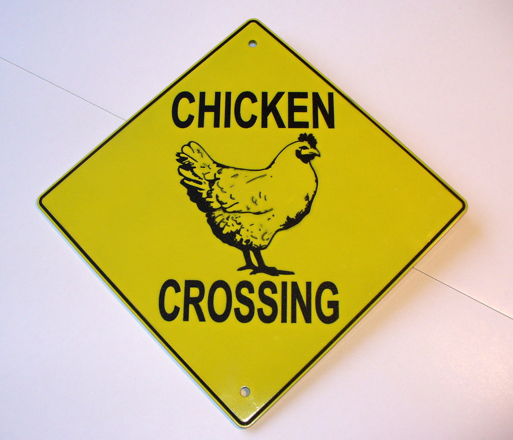 30 Funny Why Did the Chicken Cross the Road Jokes