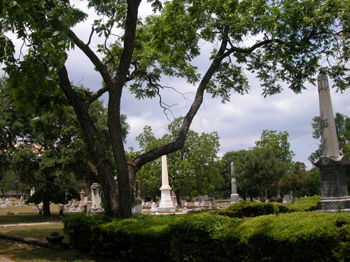 Friday Funny:  Gathering Pecans in the Cemetery