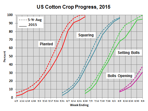 Shurley US Crop Progress