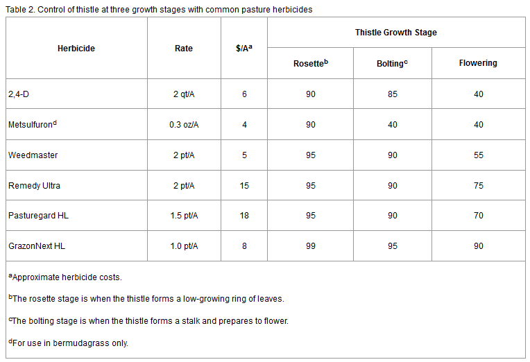 Source: Thistle Control in Pastures