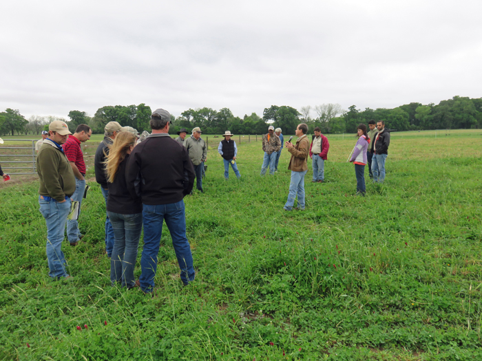 Jose Dubeux shared about a multi-year project comparing the use of legumes to reduce nitrogen fertilization requirements for perennial pastures. Photo credit: Doug Mayo