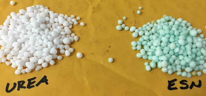 Urea on the left, ESN on the right. Photo credit: Mike Mulvaney