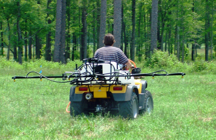 June Cattle & Forage Management Reminders