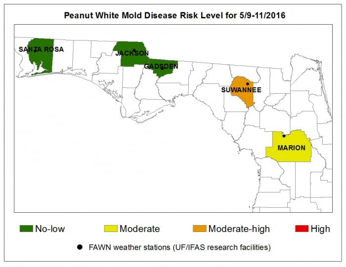 Figure 1. Disease risk map for peanut white mold (stem rot) based on favorable soil temperatures for the fungal pathogen (Sclerotium rolfsii).