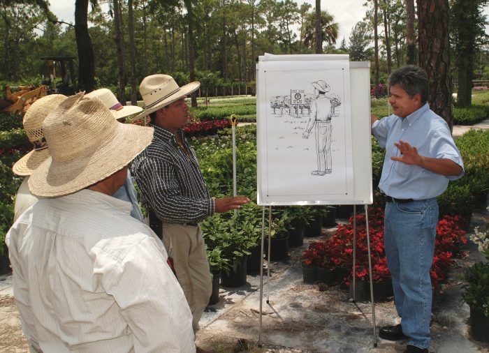 Cesar Asuaje,right, travels to citrus groves, sugarcane fields, tomato farms and other agriculture enterprises throughout South Florida, teaching a one-day, on-the-job safety course to Spanish-speaking migrant workers.