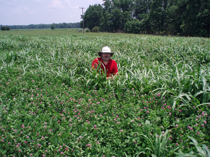  Figure 1. Jed Dillard, Jerfforson county Extension kneels in a pasture of Tifleaf 3 millet and cowpeas that awere no-till drilled into ryegrass and red clover.