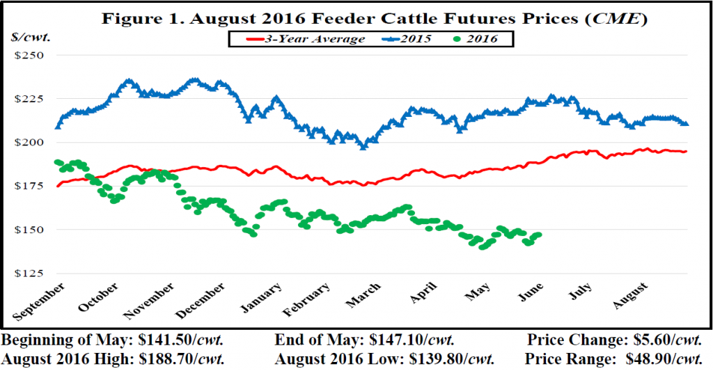 May Florida Cattle Price Watch | Panhandle Agriculture