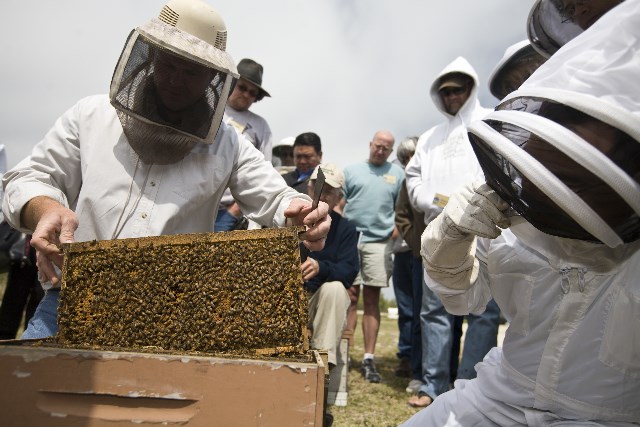 Jefferson County 2024 Beginning Beekeeping Series:  January 13-February 10