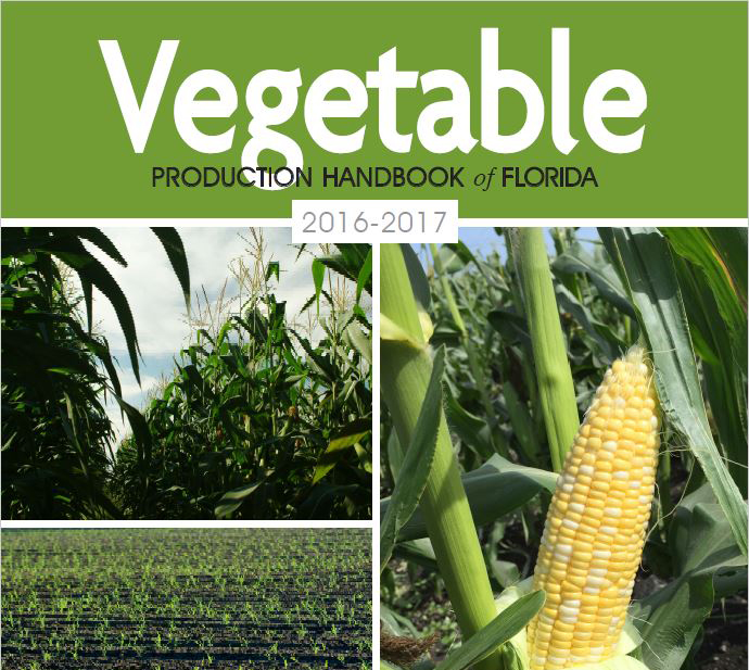 The Vegetable Production Handbook of Florida:  The Go-to-Guide for Vegetable Farmers