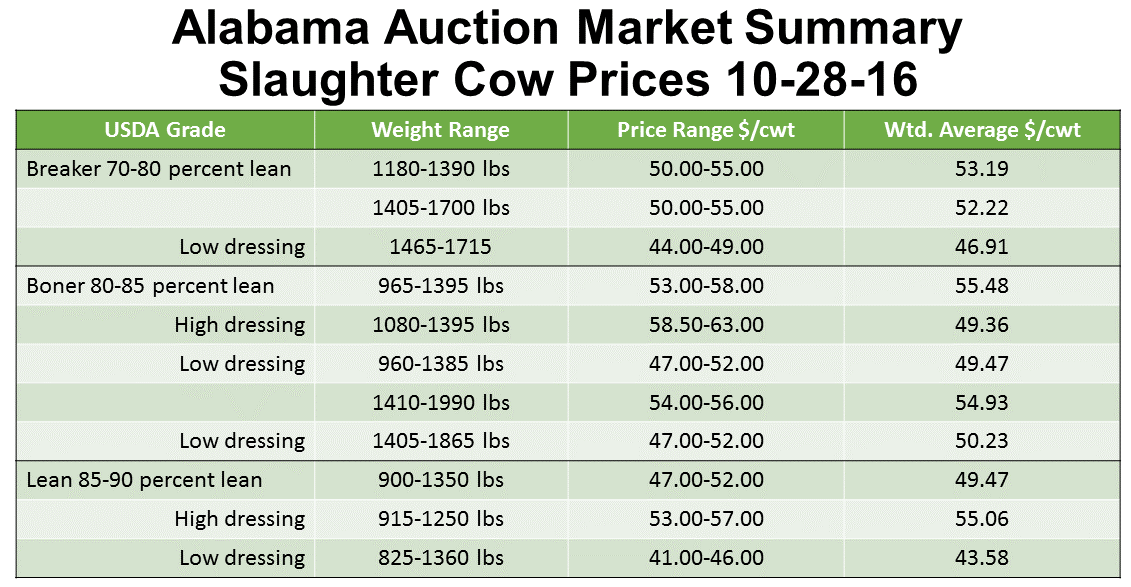 Factors that Affect Cull Cow Prices at Auction Markets | Panhandle  Agriculture