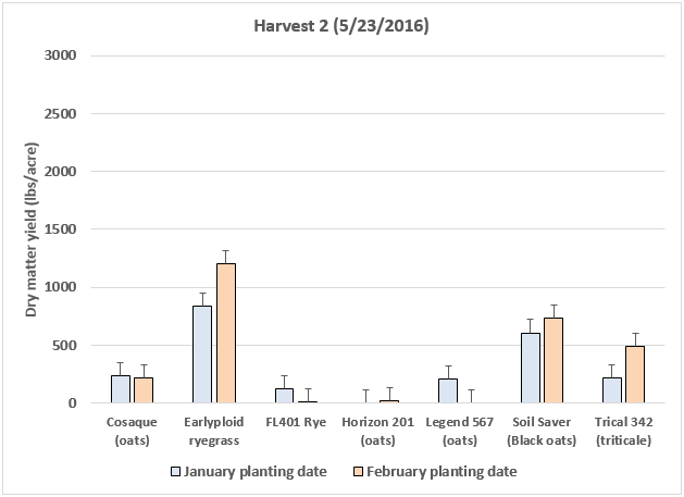 Figure 3. Dry matter yield of cool-season grasses planted in January or February 2016 in North Florida (UF/IFAS NFREC, Marianna, FL). Data from second harvest (5/23/2016).