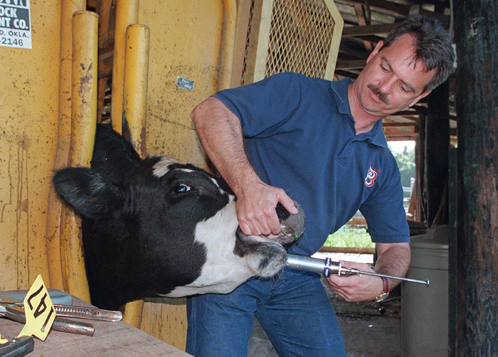 April Cattle & Forage Management Reminders